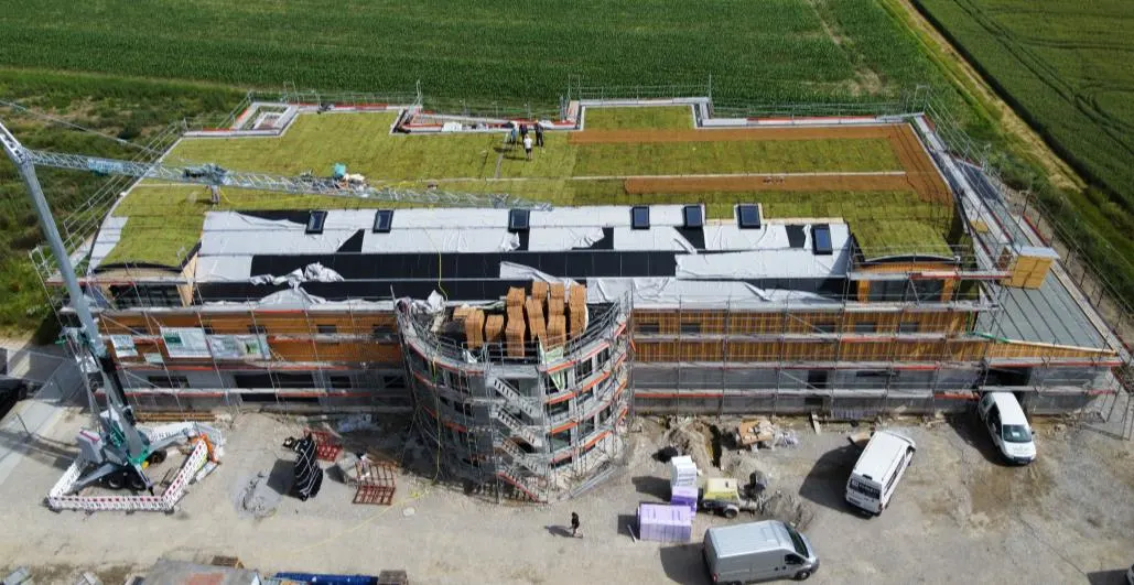 Gründach im Bau